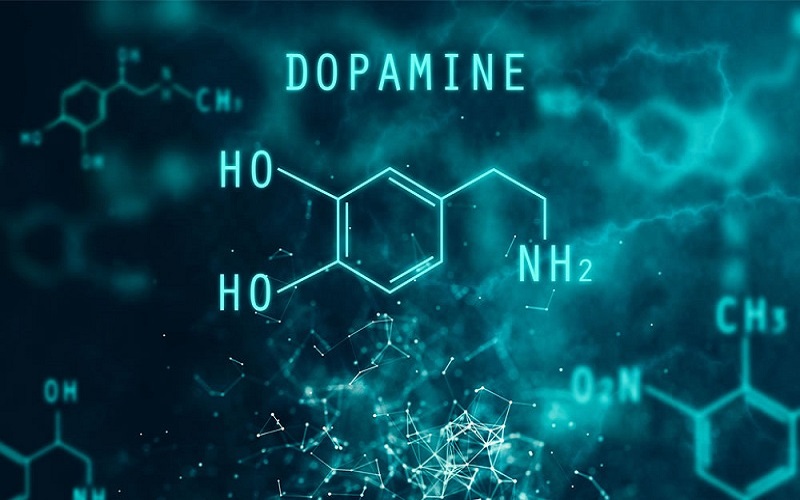 Hormone dopamine