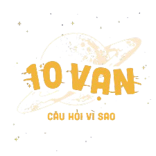 10VanCauHoi